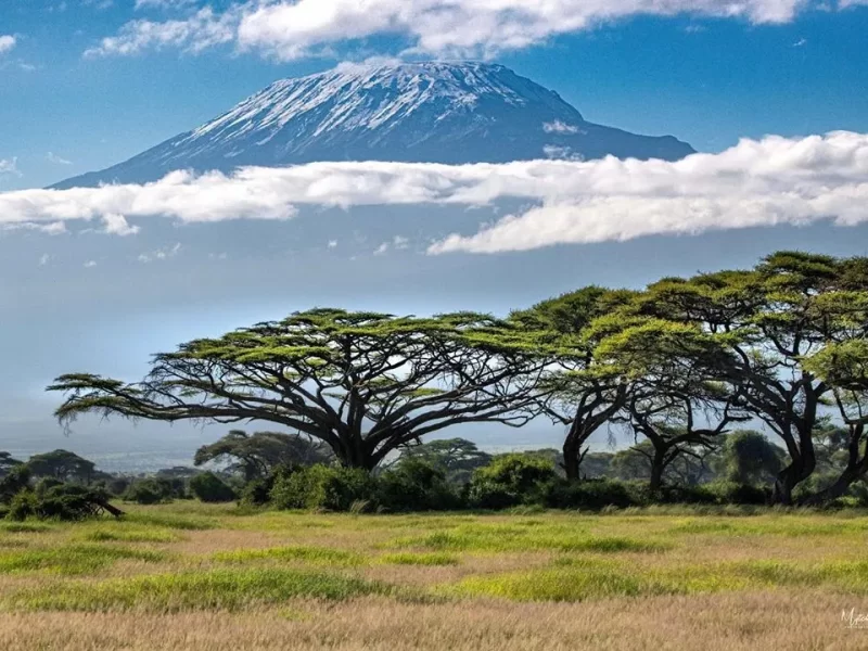 10 Days Amboseli and Mount Kilimanjaro